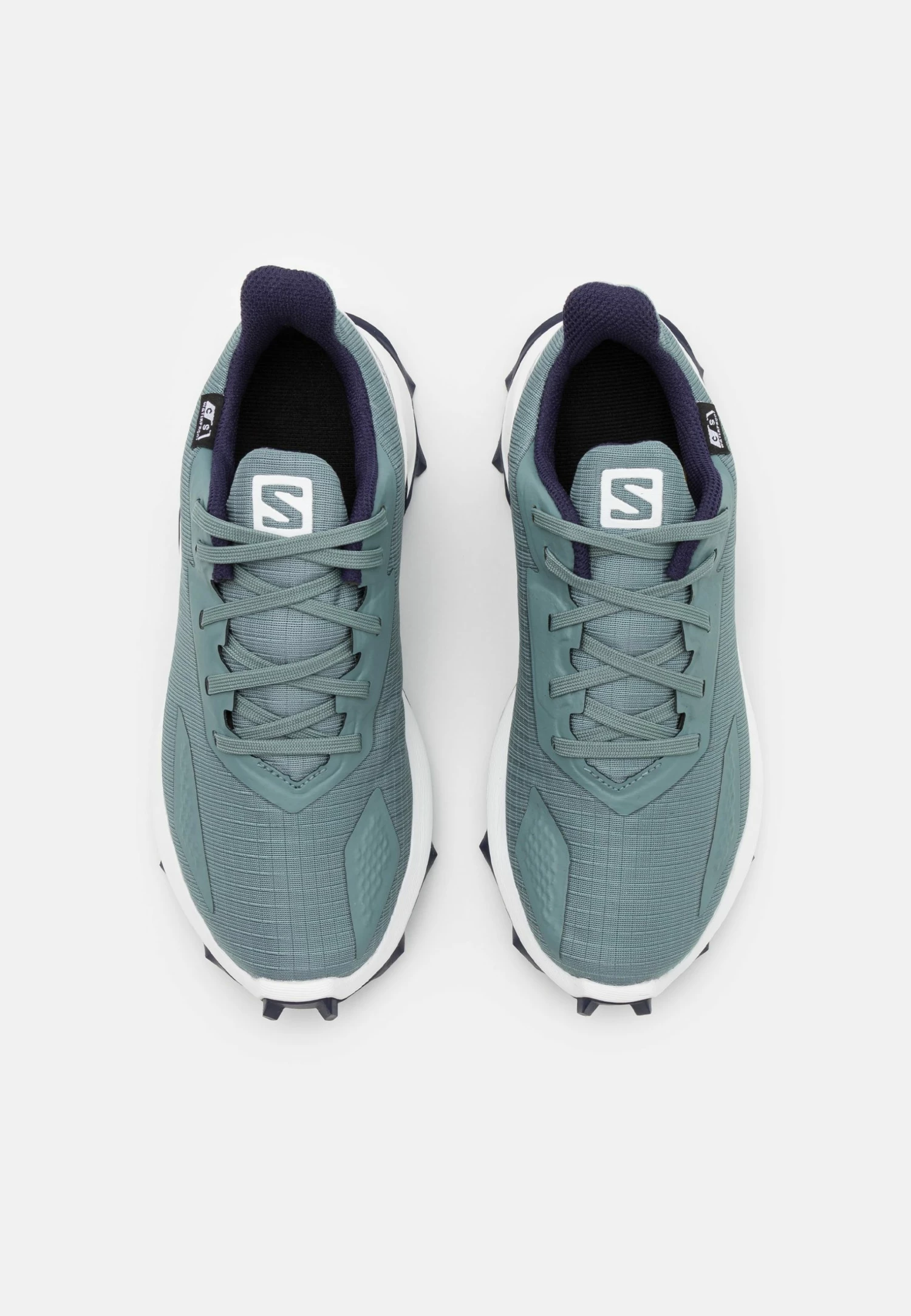 Salomon ALPHACROSS BLAST CSWP UNISEX - Chaussures de marche Kids 6 Salomon ALPHACROSS BLAST CSWP UNISEX - Chaussures de marche Kids – Image 4