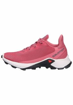 Salomon Chaussures Ă lacets Women